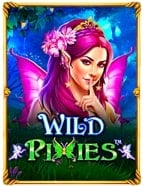 ทำความรู้จักกับ slot win win won: วิธีเล่นง่าย ๆ